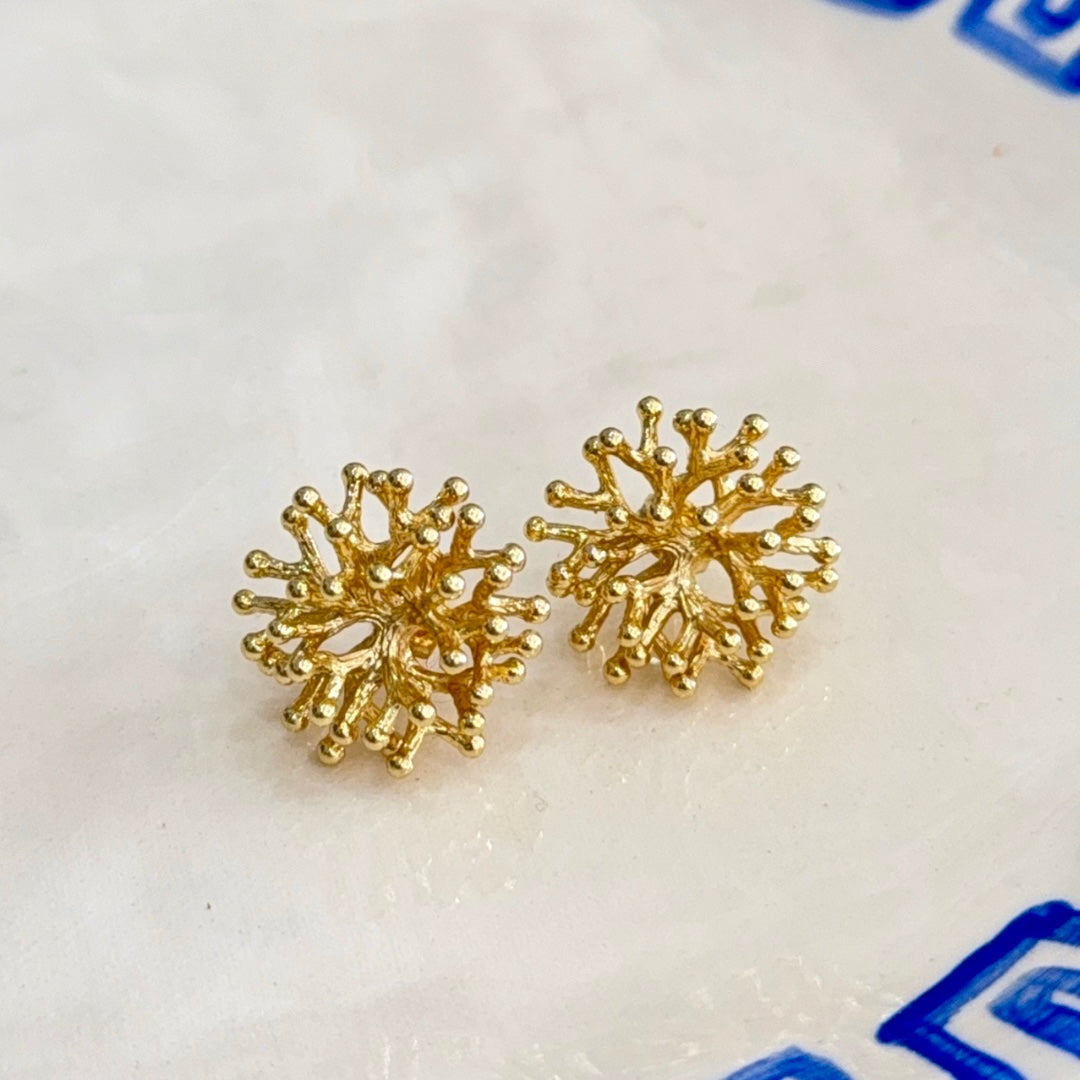 Coral Stud Earrings