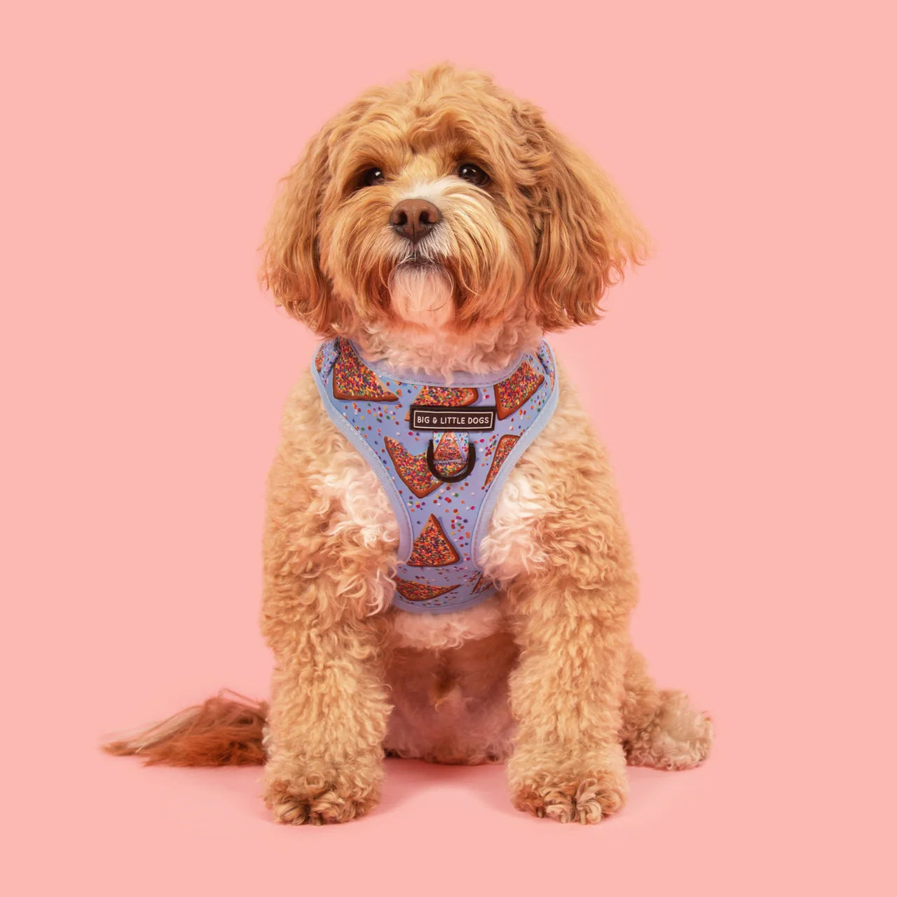 Adjustable Dog Harness Blue Fairy Bread