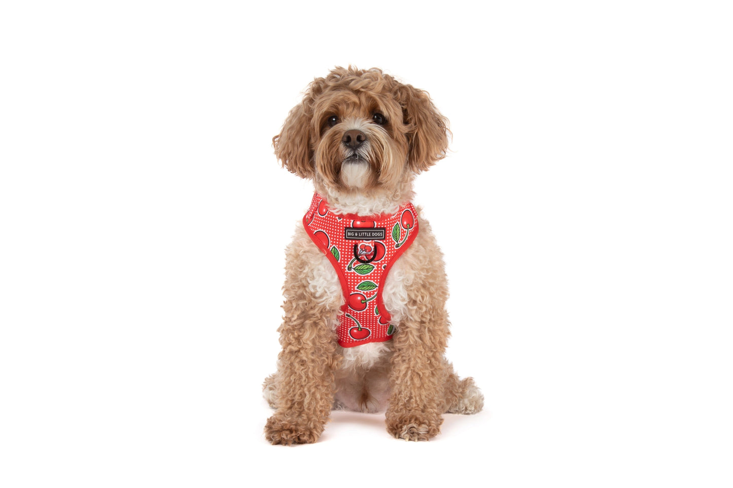 Cherrylicious Dog Harness