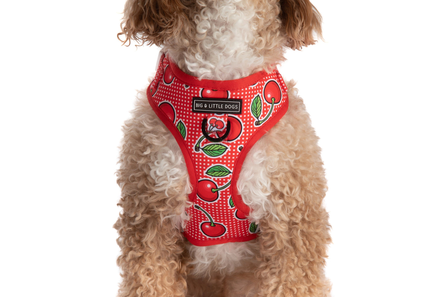 Cherrylicious Dog Harness