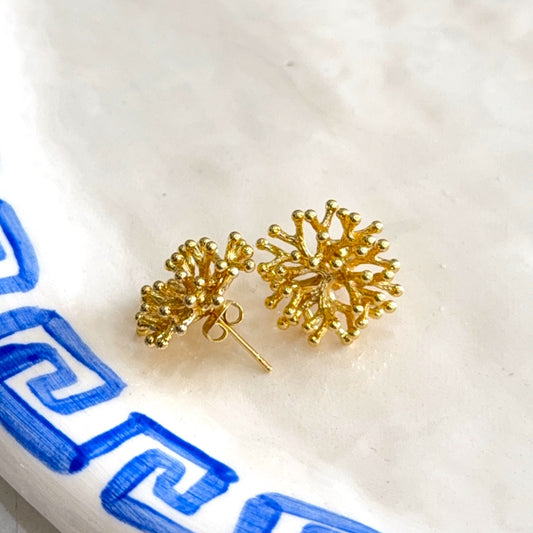 Coral Stud Earrings