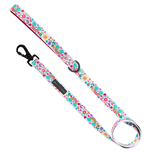 Dog Leash Follow The Rainbow