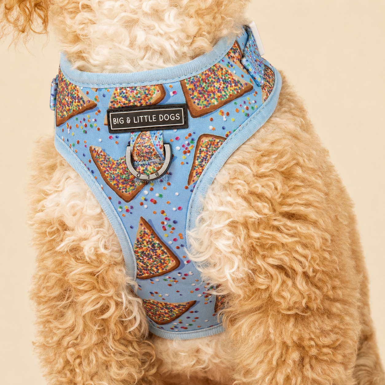 Adjustable Dog Harness Blue Fairy Bread
