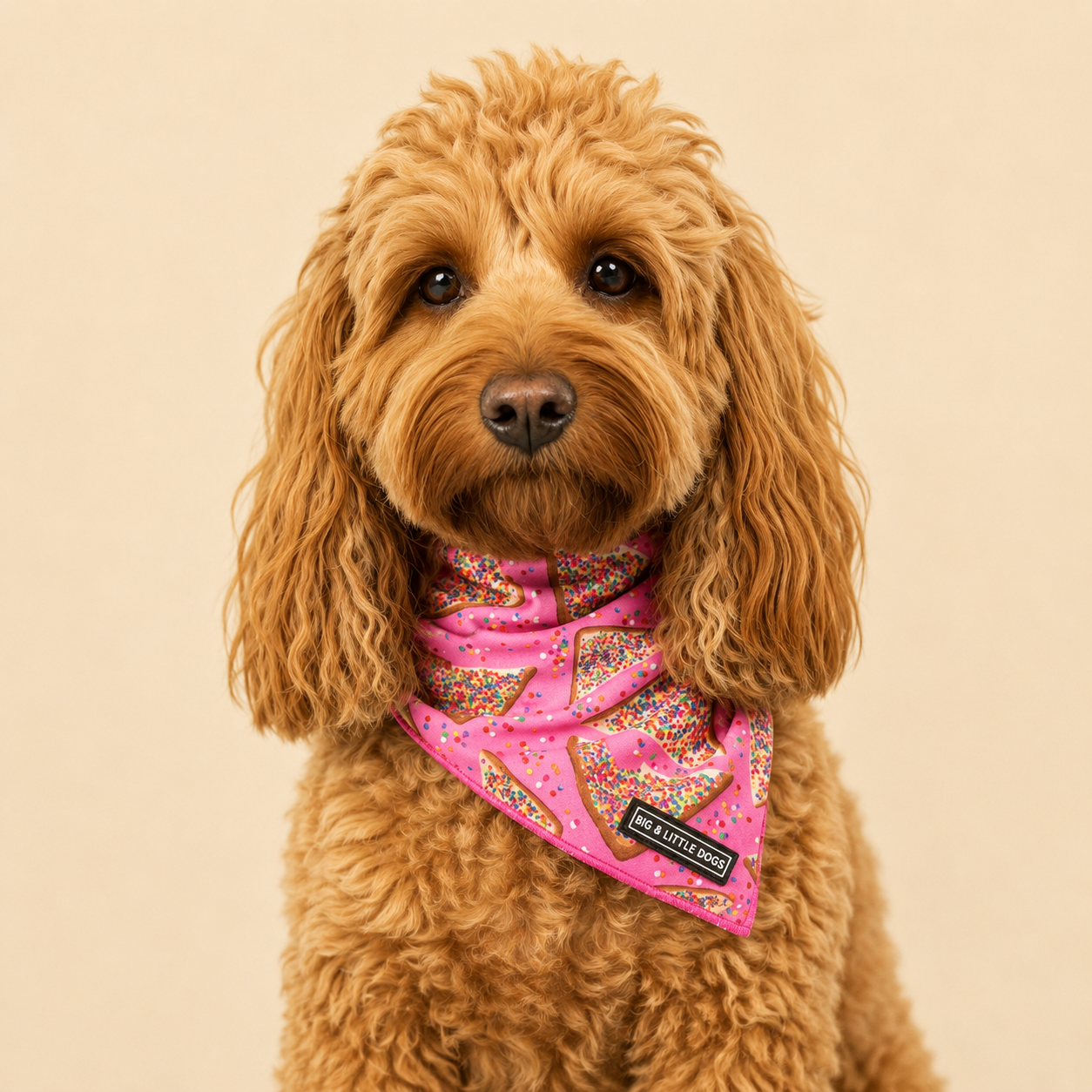Dog Bandana - Pink Fairy Bread