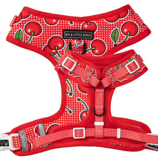 Cherrylicious Dog Harness