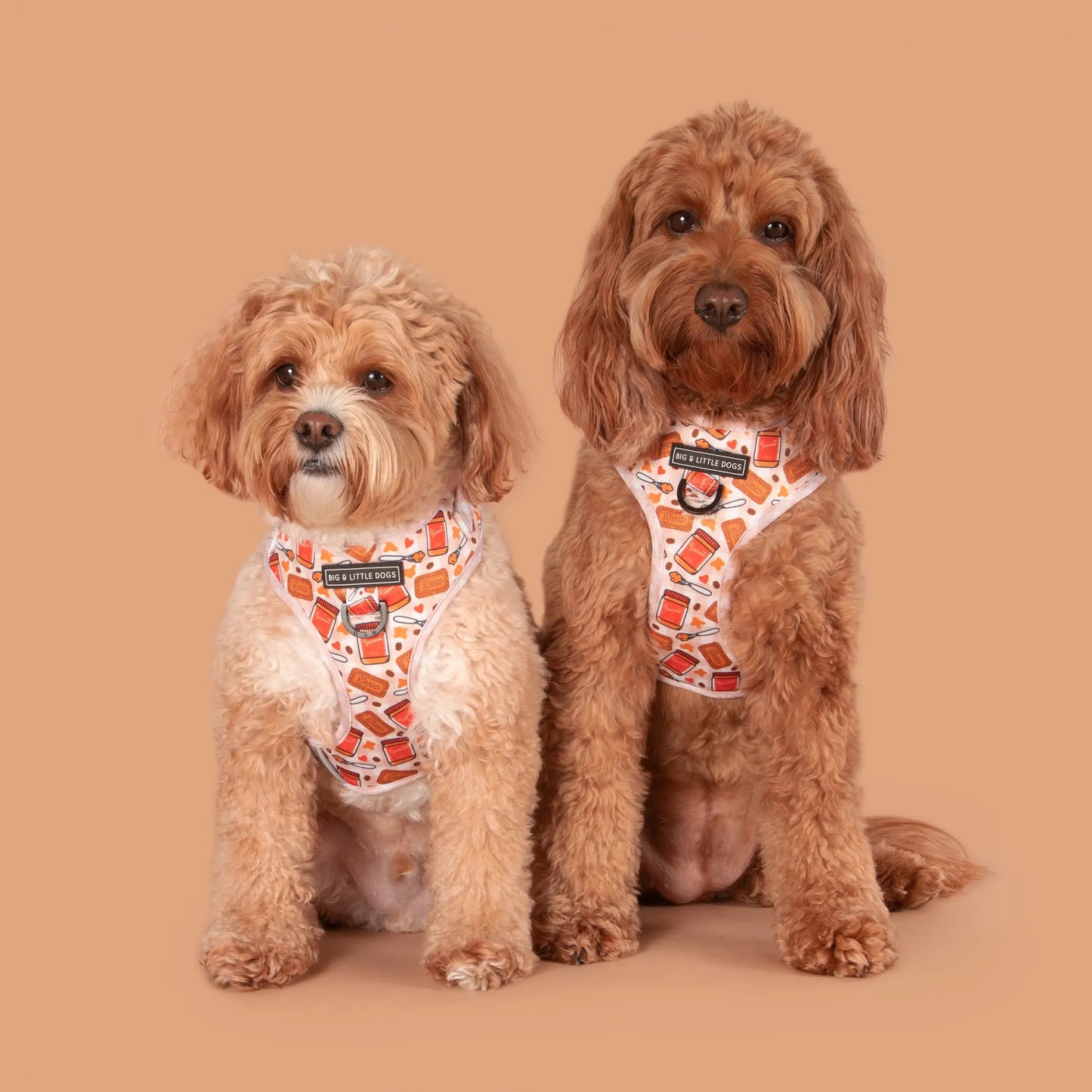 Adjustable Dog Harness - Biscoff Biswoof Crunch