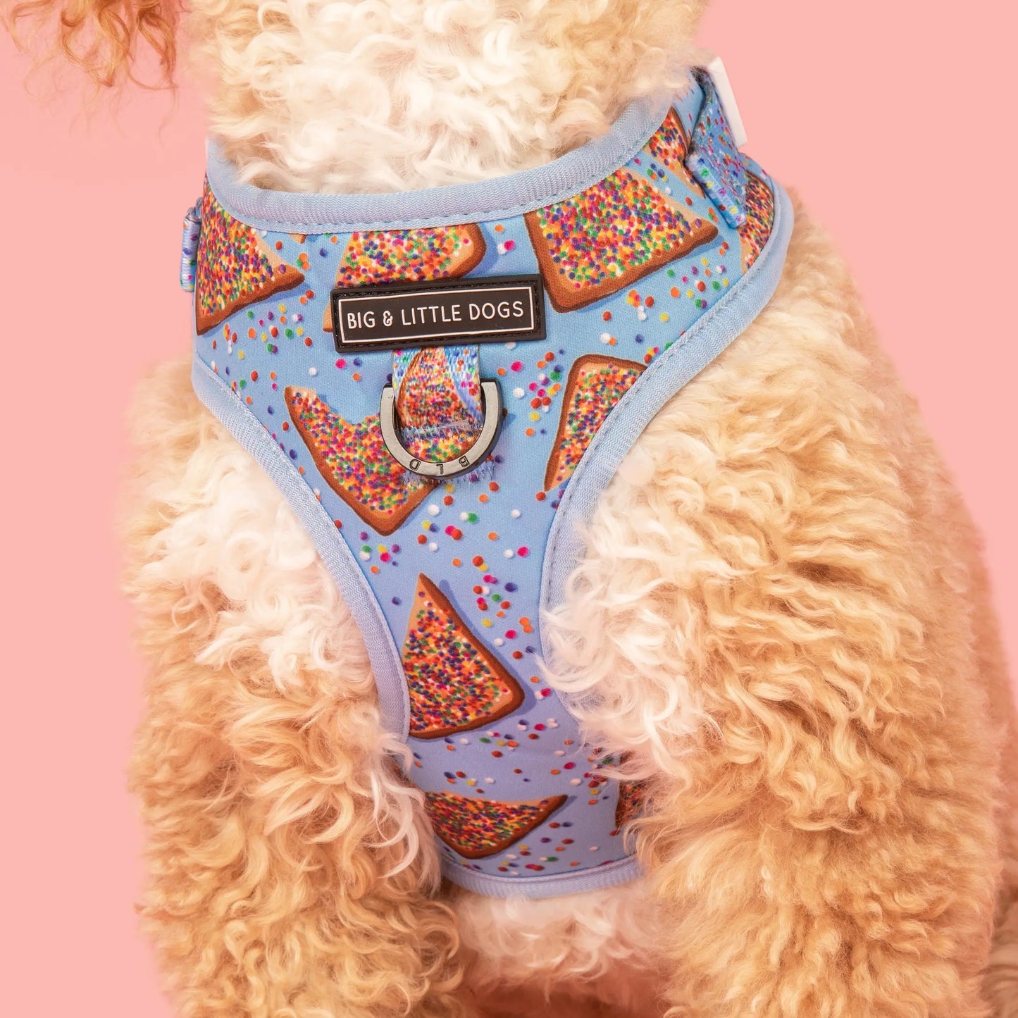 Adjustable Dog Harness - Blue Fairy Bread