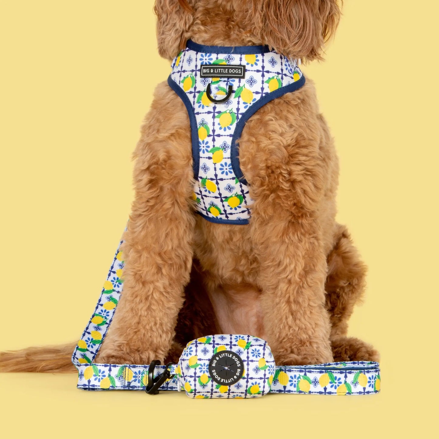 Adjustable Dog Harness - Amalfi Coast