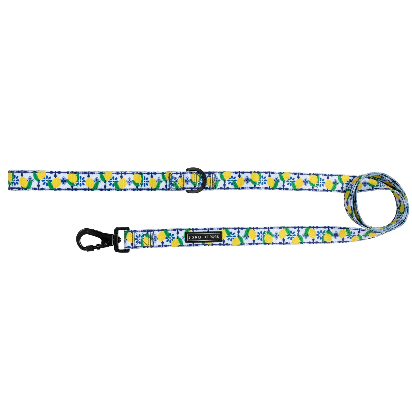 Dog Leash - Amalfi Coast