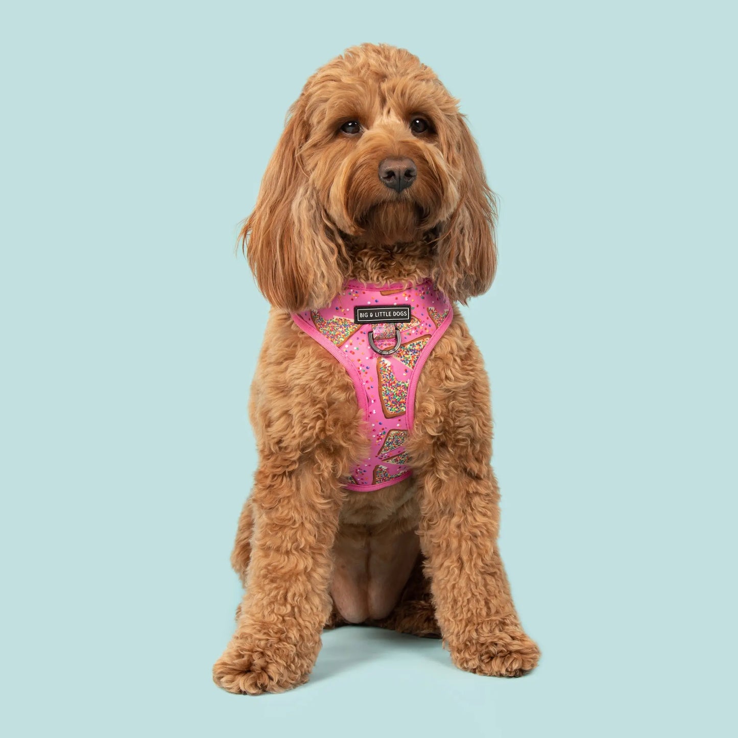 Adjustable Dog Harness - Pink Fairy Bread