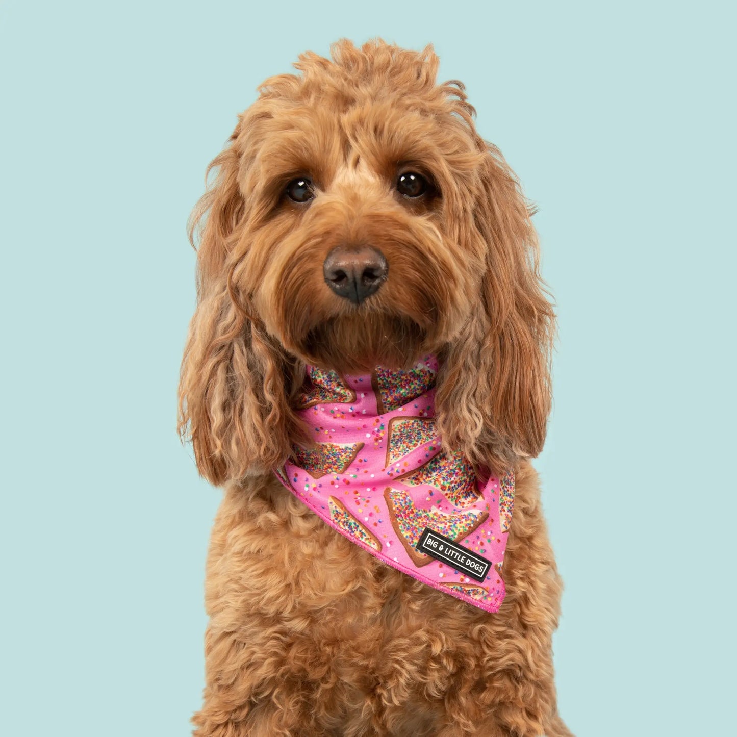 Dog Bandana - Pink Fairy Bread