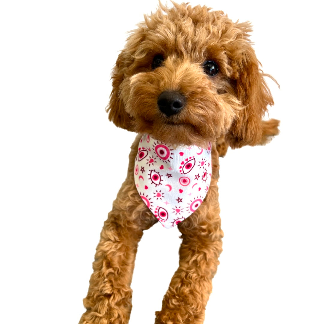 Pink Mati Dog Collar Bandanna