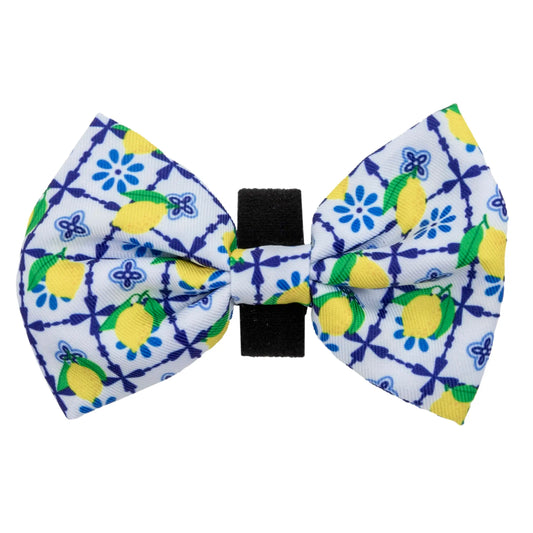 Dog Bow Tie - Amalfi Coast