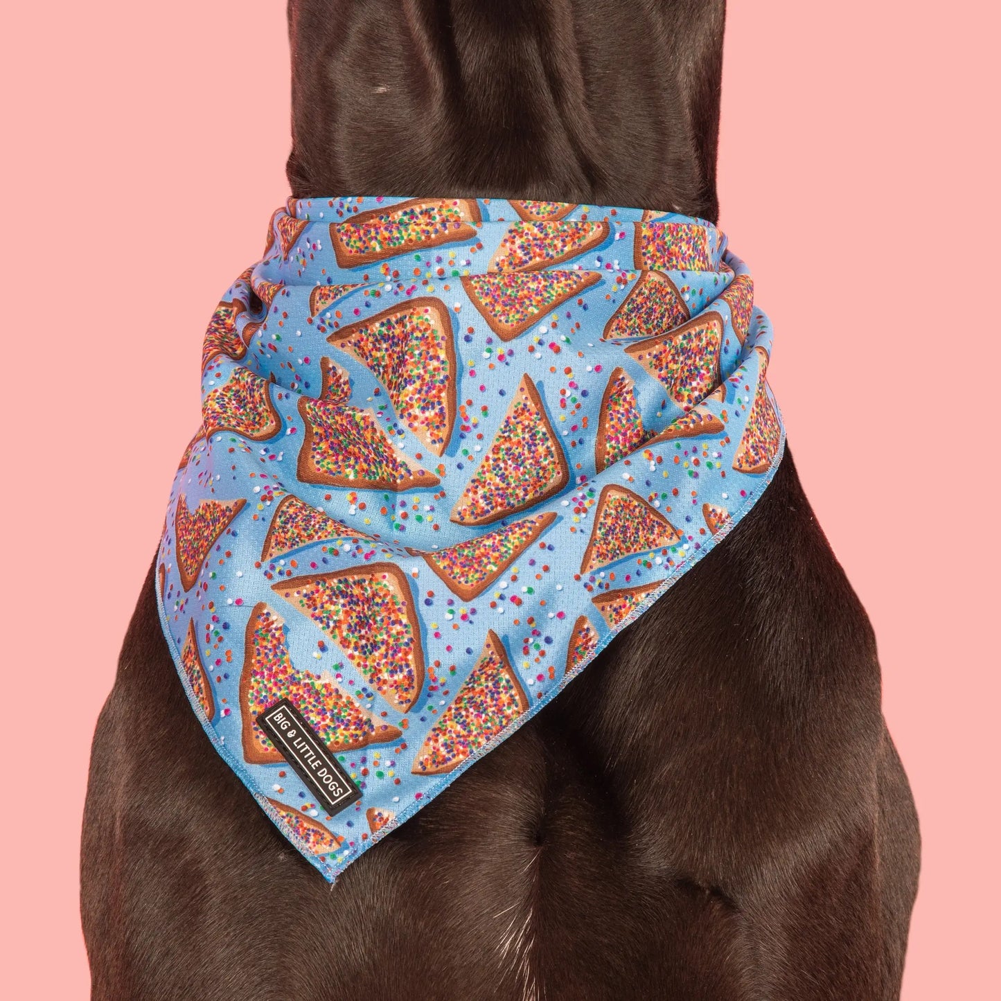 Dog Bandana - Blue Fairy Bread