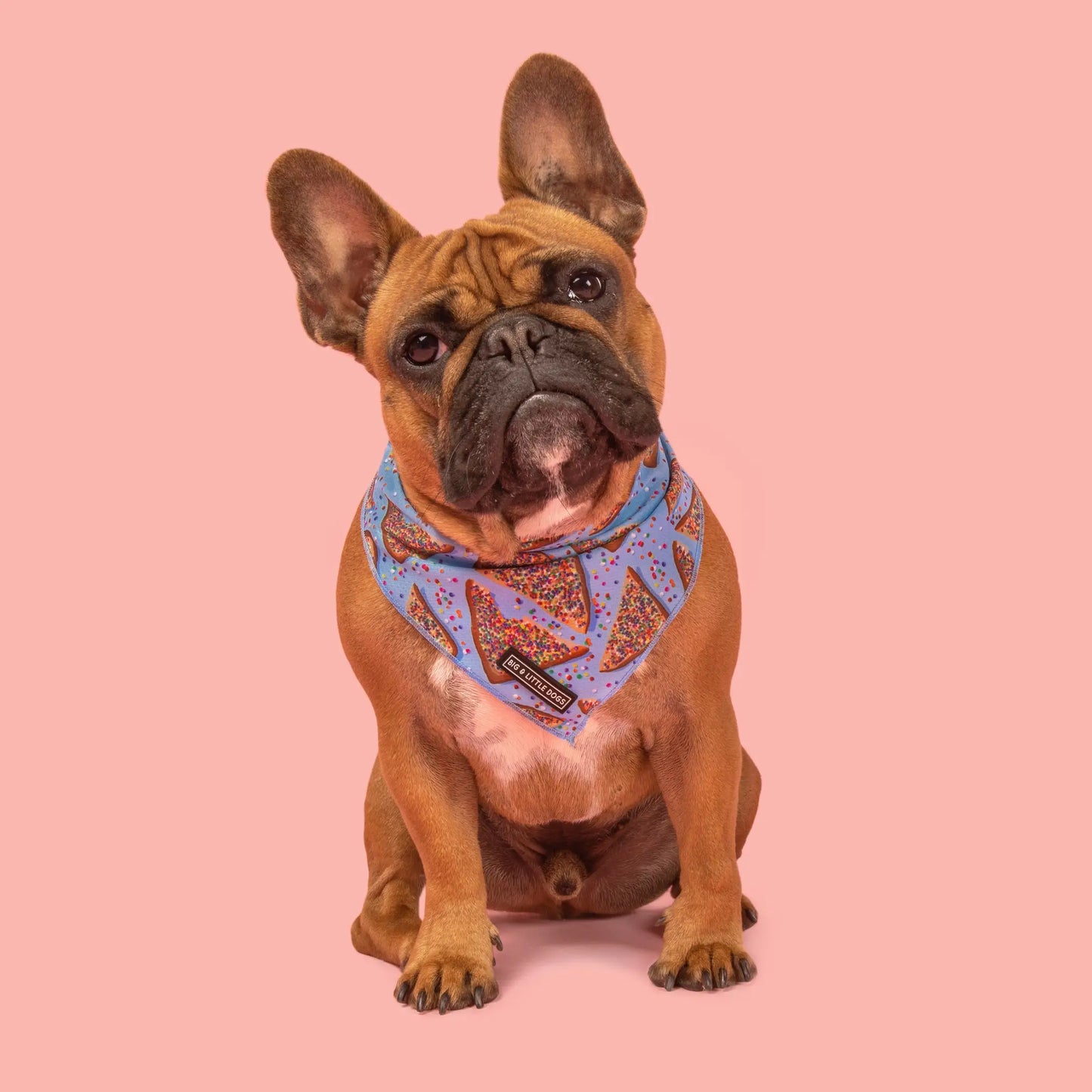 Dog Bandana - Blue Fairy Bread